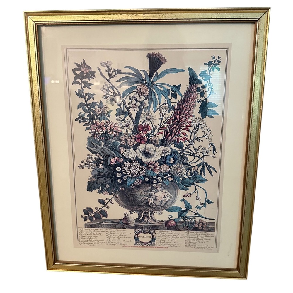 Vintage Robert Furber December Twelve Months of Flowers Botanical Print Framed